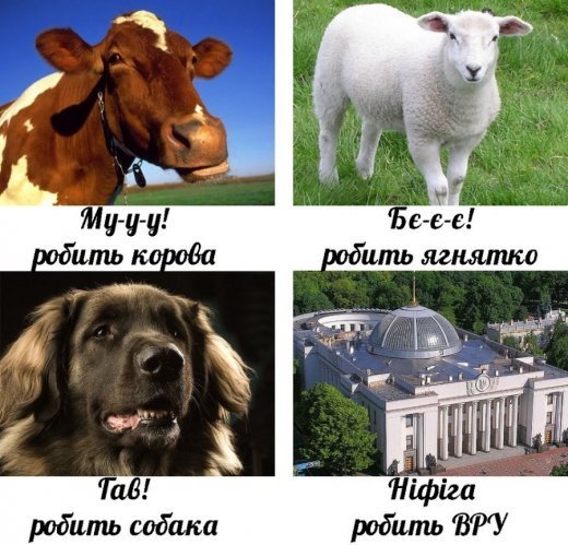 Новітня історія України: Тотально «толерантна» феодальна держава!