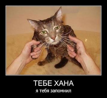 Обережно:епідемія агресії!!!