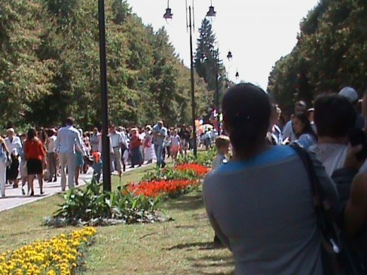 Колгоспна культура по-луцьки!