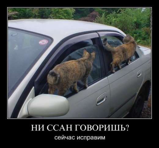 Обережно:епідемія агресії!!!