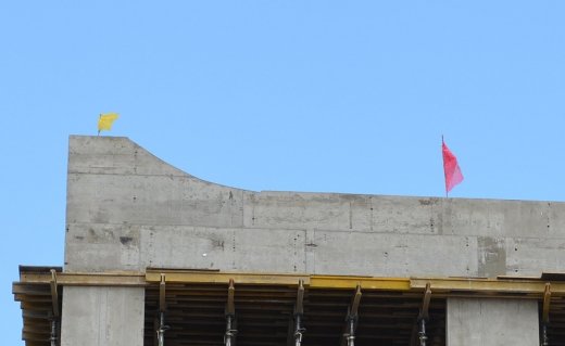 На Луцькому ЦУМі - квітка