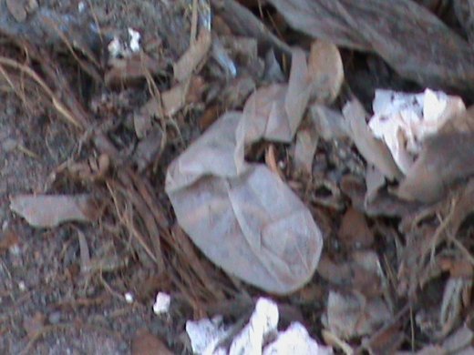 Притон свавілля у скверику,напроти ЛРДА ВО!