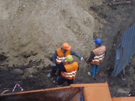 Знищили горобину біля ЦУМу.