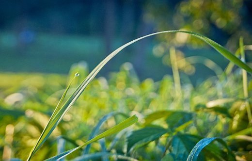 Звичайний ранок у самому чарівному парку.