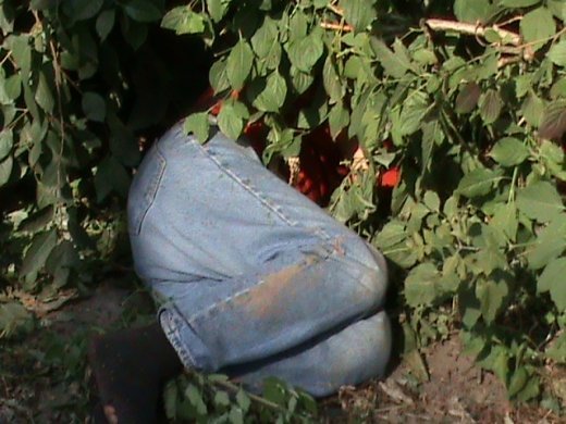 В Луцьку алкогольний мор?