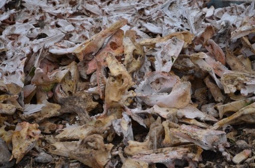 І ще раз про таємничі ракетні шахти на Волині. ФОТО