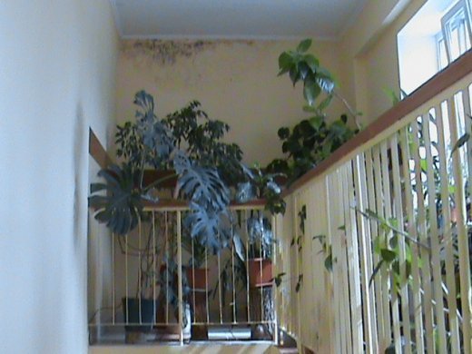 «Хрестовий похід» по «зниклим» дитсадкам міста! Маразм та самоуправство міської влади Луцька!  Частина 2.