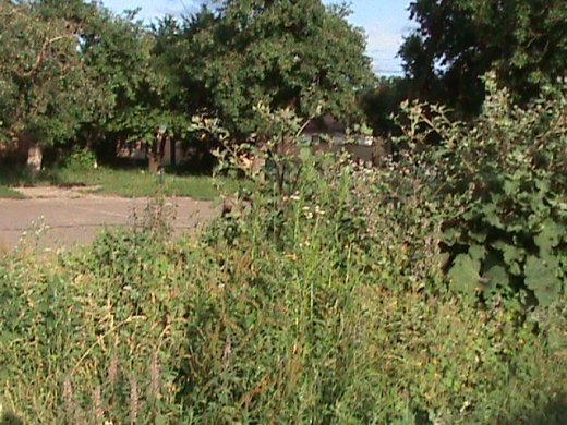 Маразм та самоуправство міської влади Луцька!  Частина 1. «Інвестиції» в майбутнє.