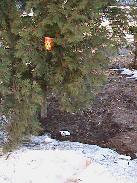 Притон свавілля у скверику,напроти ЛРДА ВО!