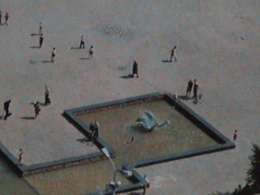 Про липовий благоустрій і порядок міста та про вдавану «любов» мера-гумориста! 